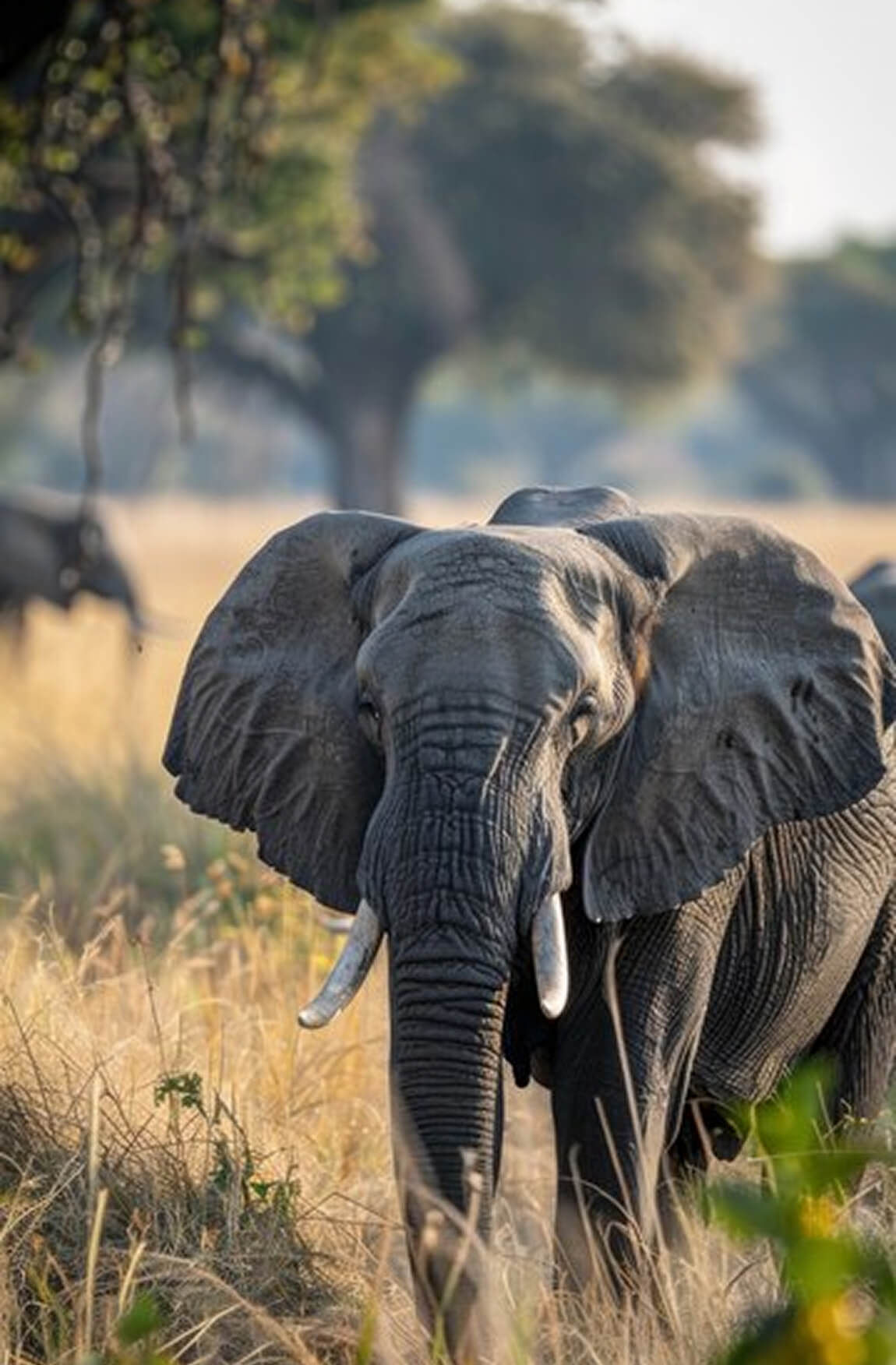 Kenya